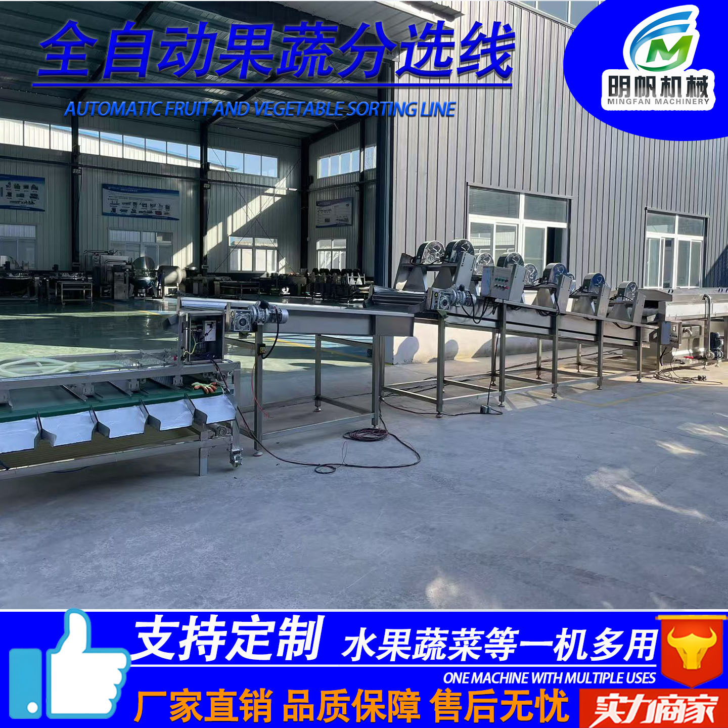 Fruit Washing, Air Drying və Sorting Line, Plum və Prune Grading avadanlıq, Orange və Citrus Sorting və Waxing qurğu