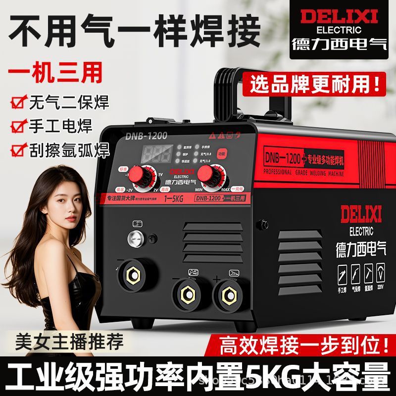 Delixi Industrial 5kg Dual-Purpose Welding Machine for Home Use, 220V, Gasless Protection, Automatic Wire Feeding, Argon Arc Welding