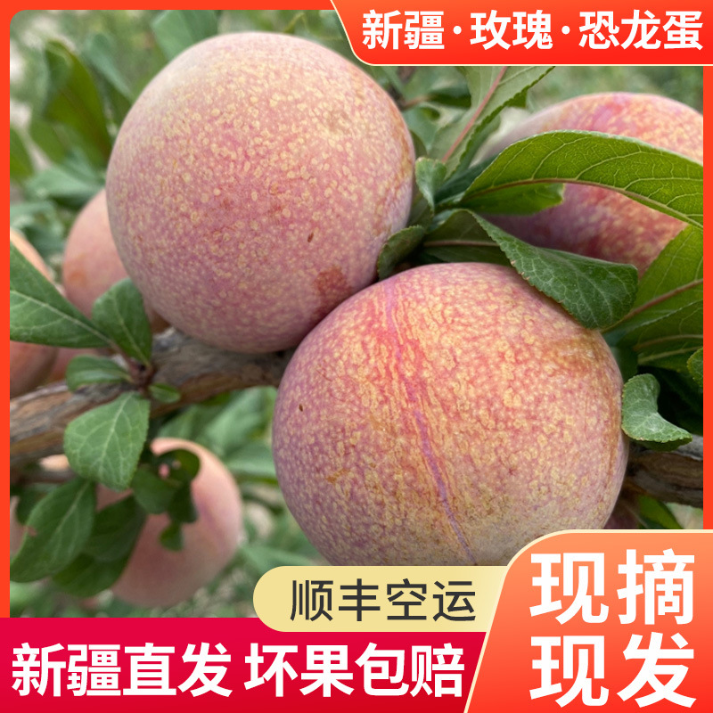 Xinjiang Rose red Dinosaur Egg Plum 1.5kg Fresh Fruit Aksu red-skin red-flesh Rose…