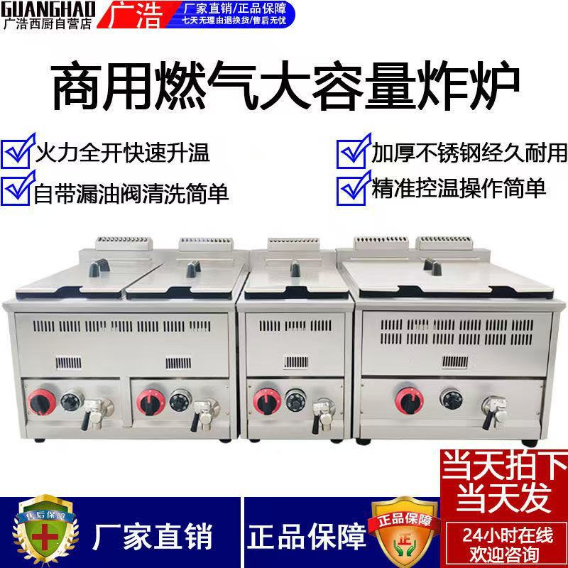 Commercial Deep Fryer for Stalls, Gas Fryer, Vertical Large-Capacity Double-Tank Fryer, Small Tabletop Fryer for Fried Snacks