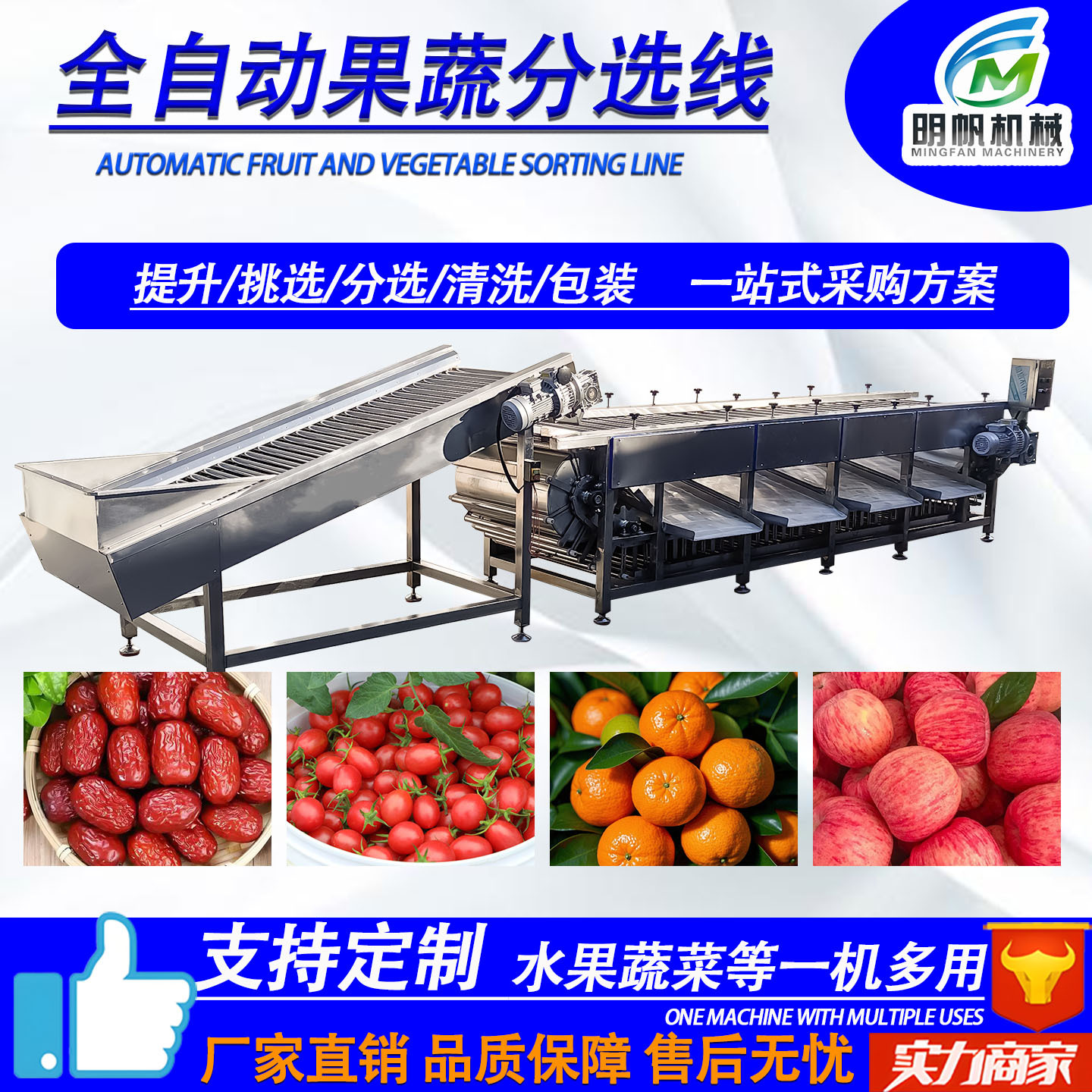 Jujube Sorting, Cleaning, Air-Drying və Grading Assembly Line Kiwi Fruit, Cherry Tomatoes və Citrus Picking, Sorting və Cleaning qurğu