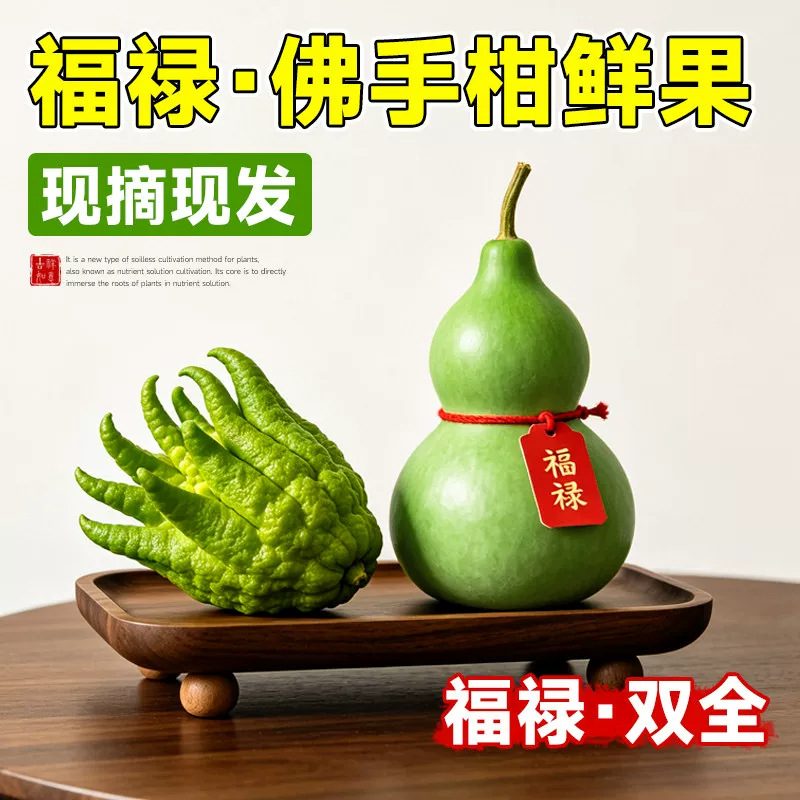 Fresh Buddha's Hand Gourd, Fresh Buddha's Hand Fruit ilə Stems, qapalı məkan üçün Decoration, üçün…
