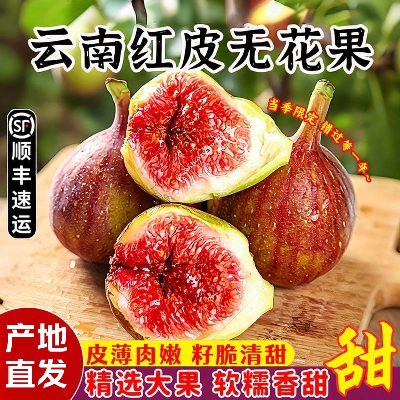 Free shipping by SF Express: Yunnan red-skinned fresh figs, freshly picked Bohi red…