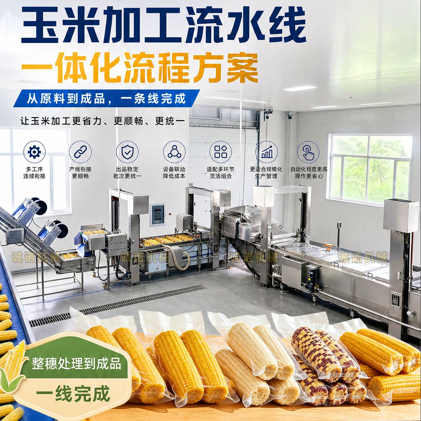 Production line for husking, washing, blanching, sterilizing, and drying corn
