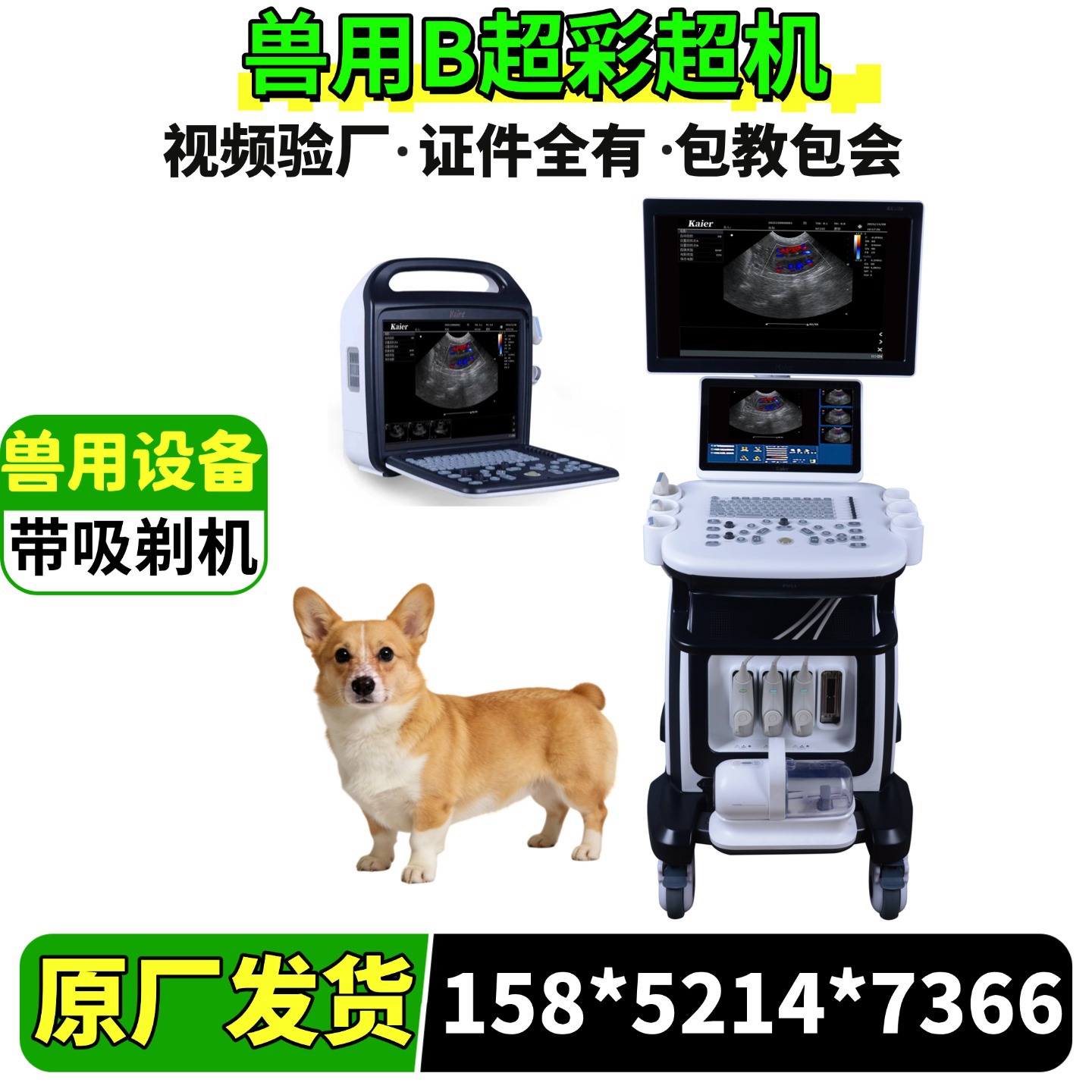 Veterinary B-ultrasound qurğu/Medical B-ultrasound qurğu, fully digital ultrasound diagnostic device, how much does a B-ultrasound qurğu cost?
