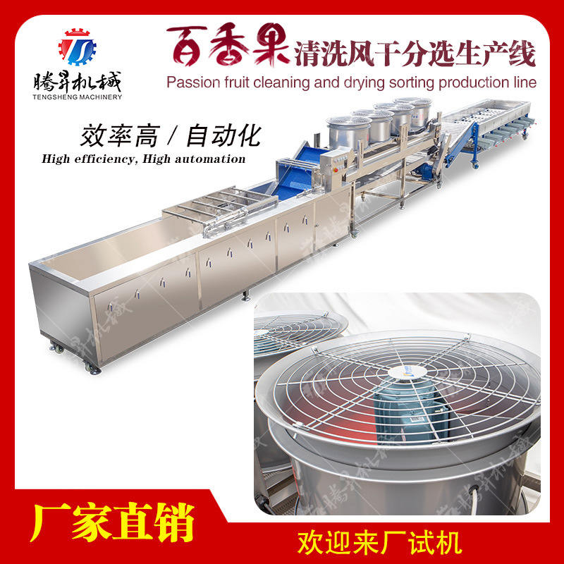 Cleaning air-drying sorting istehsal xətti melon və fruit emal Tengsheng passion fruit emal fruit cleaning air-drying